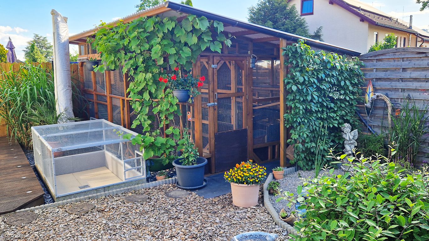 Kaninchenpension Die Kaninchenpension